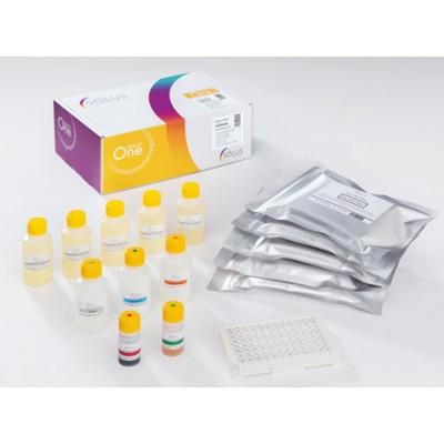 ONE Salmonella ELISA Test Kit